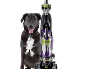 BISSELL PowerLifter Pet Rewind with Swivel Bagless Upright Vacuum, 2259