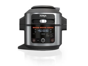 Ninja Foodi 13-in-1 6.5-qt. Pressure Cooker Steam Fryer with SmartLid OL500