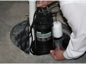 WAYNE CDU790 1/3 HP Epoxy-Coated Steel Energy-Efficient Sump Pump