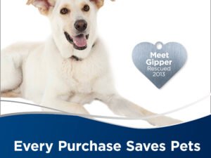 BISSELL PowerLifter Pet with Swivel Bagless Upright Vacuum, 2260