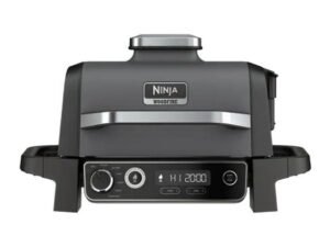 Ninja Woodfire Grill - Charcoal - OG701