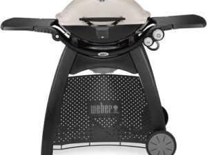 Weber Q 3200 Liquid Propane Gas Grill in Titanium
